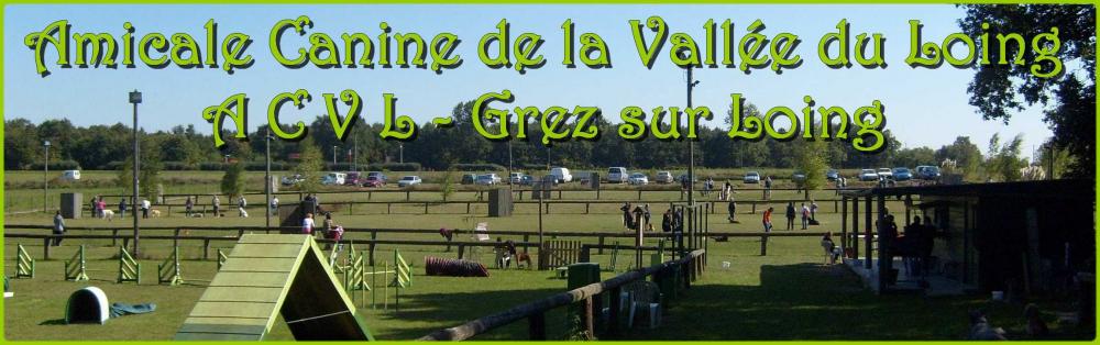 dressage chien grez sur loing